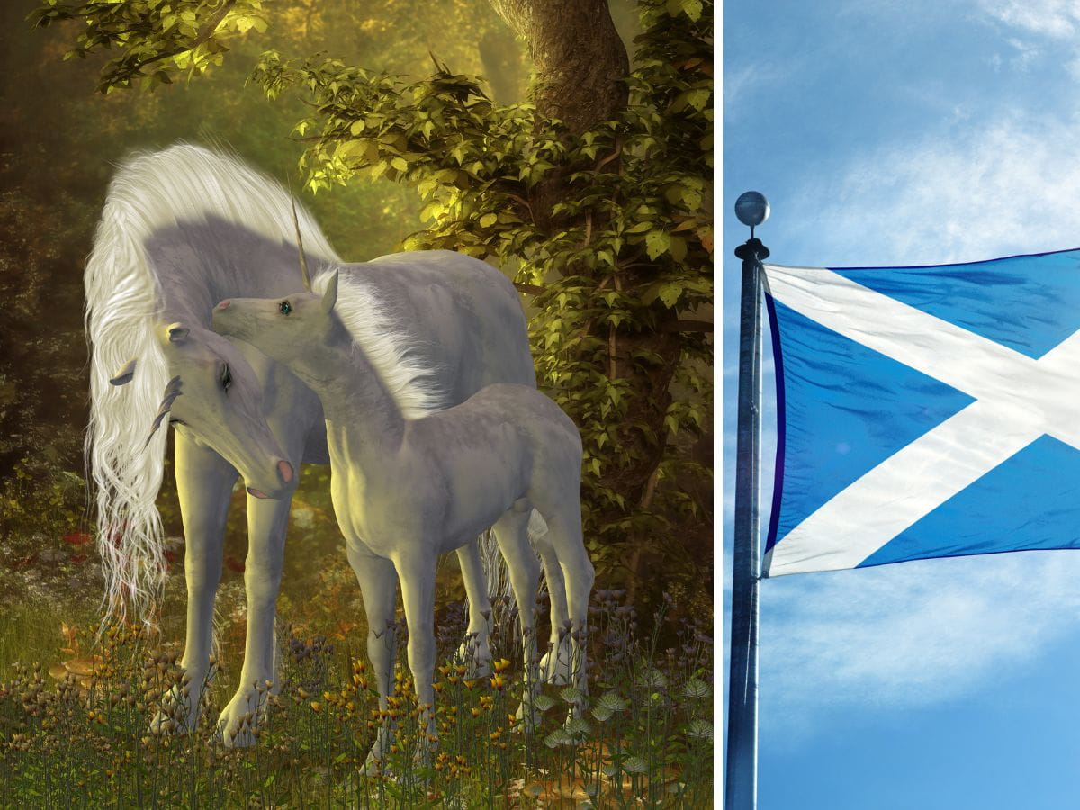 National Animal of Scotland