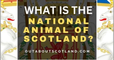 National Animal of Scotland