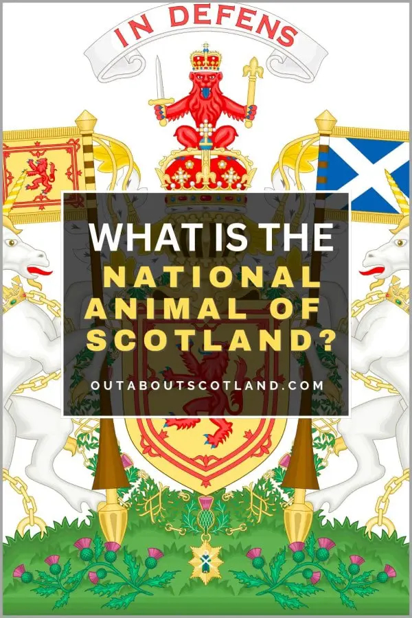 National Animal of Scotland