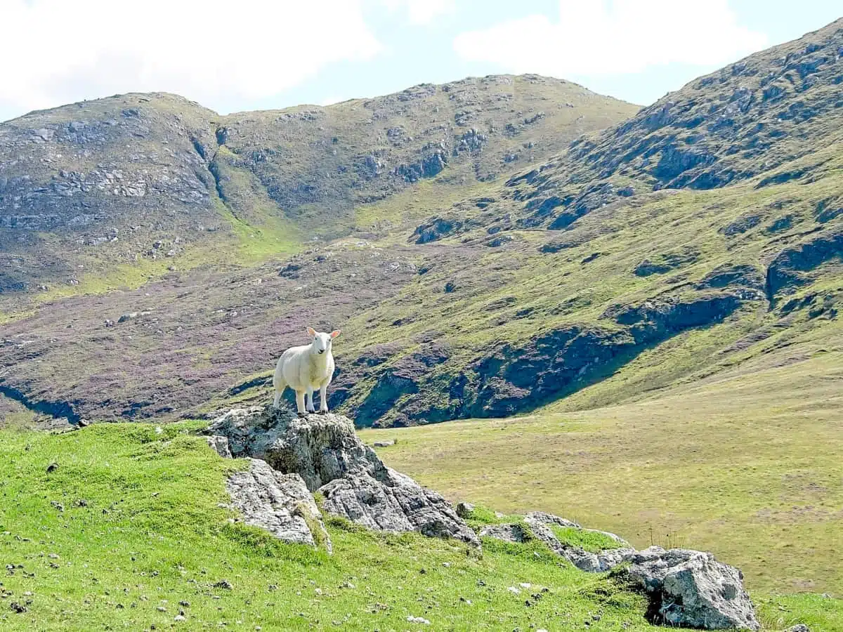 Beinn Mhartainn Isle of Barra