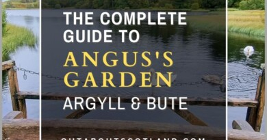 Angus's Garden
