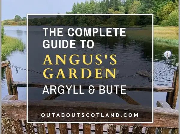 Angus's Garden
